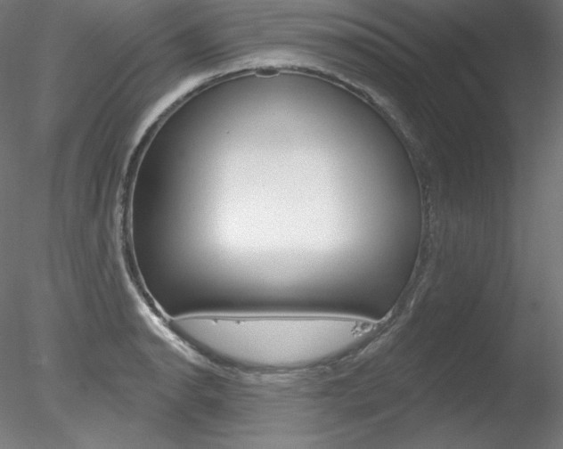 X0000078271134200611030944