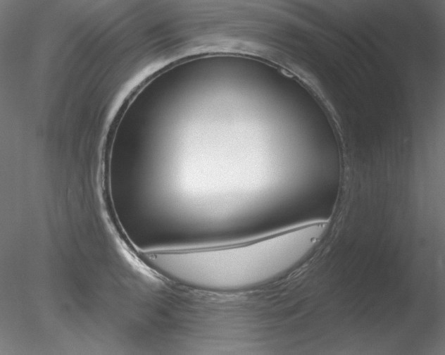 X0000078271136200611030944