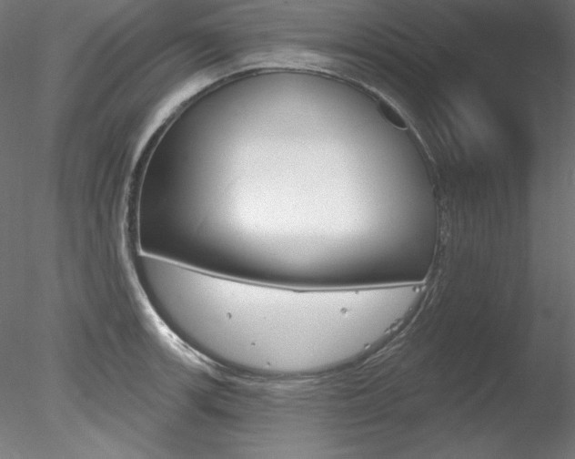 X0000078271139200611030944