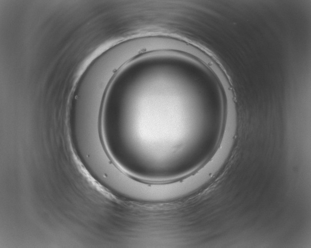 X0000078271142200611030944