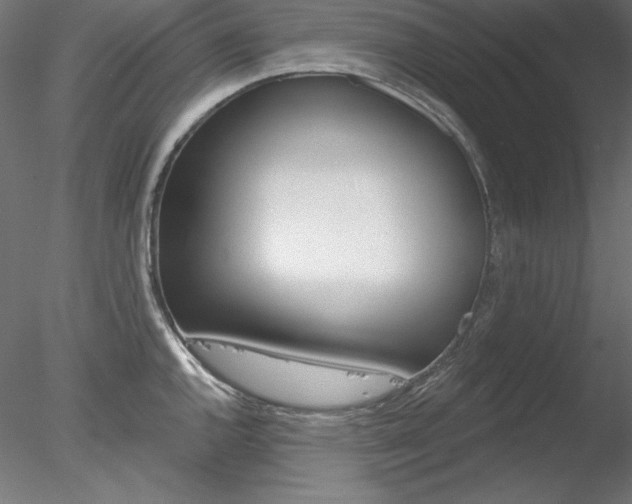 X0000078271144200611030944