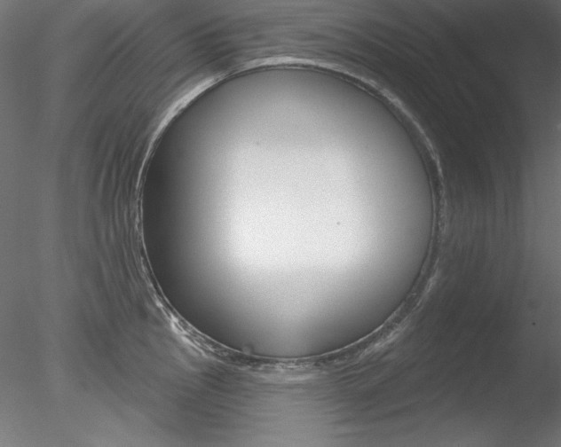 X0000078271145200611030944