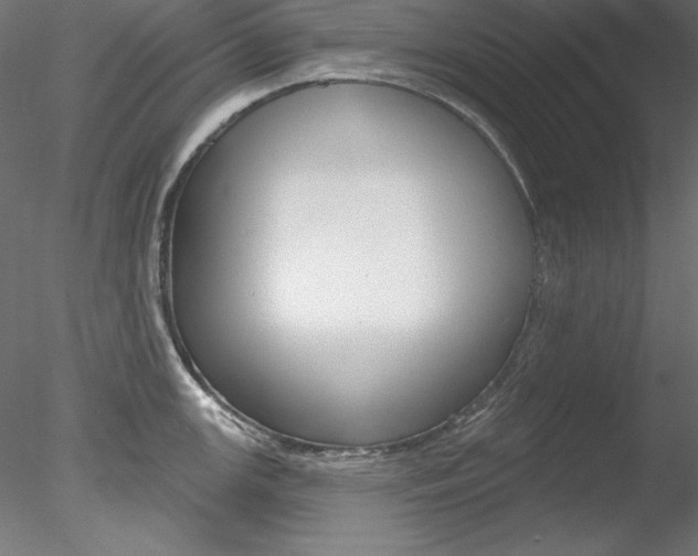 X0000078271147200611030944
