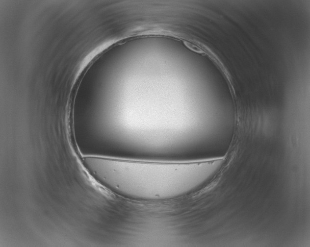 X0000078271149200611030944