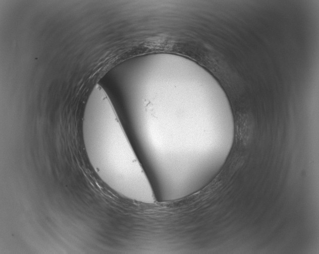 X0000078271154200611030943