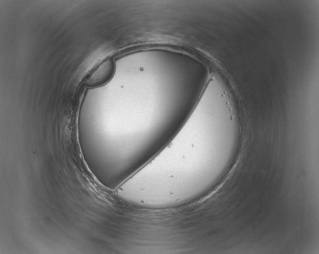 X0000078271163200611030943