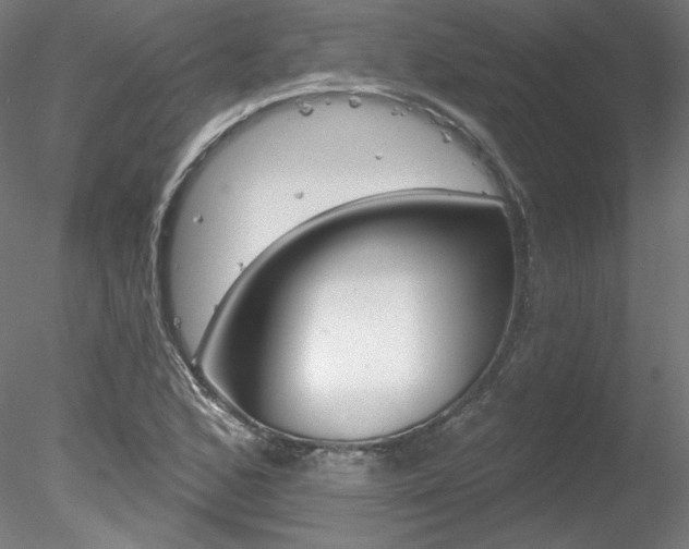 X0000078271168200611030943
