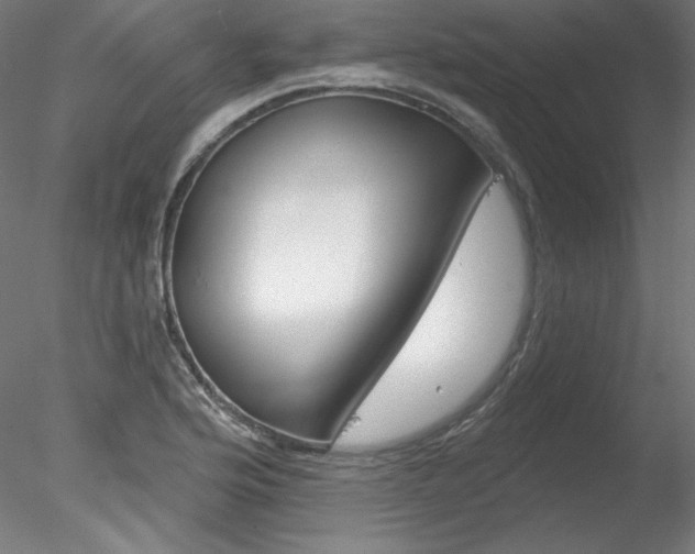 X0000078271176200611030943