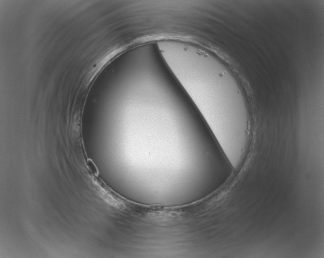 X0000078271185200611030943