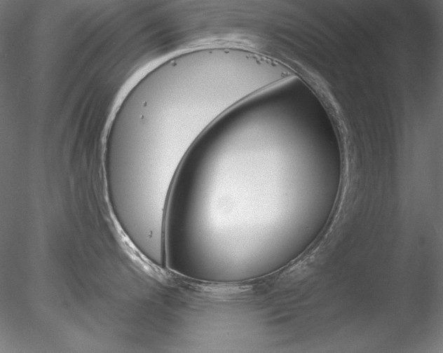 X0000078271200200611030942