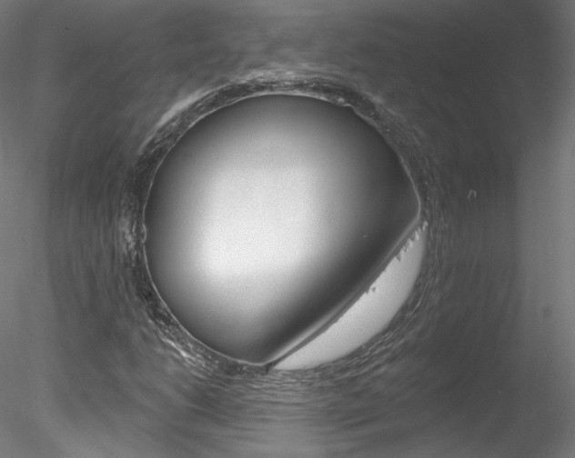X0000078271206200611030942