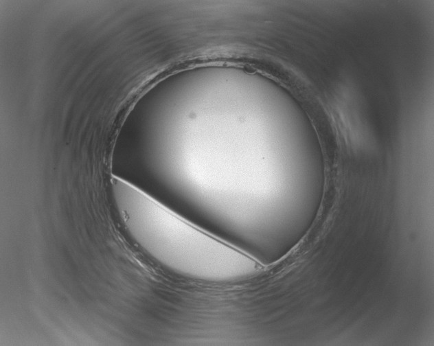 X0000078271217200611030942