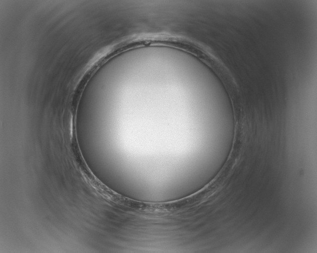 X0000078271221200611030942