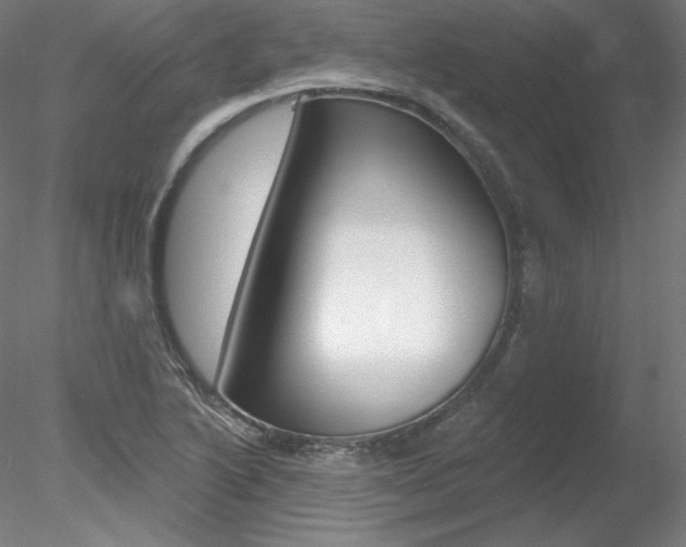 X0000078271222200611030942