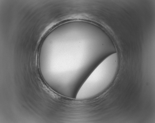 X0000078271224200611030942