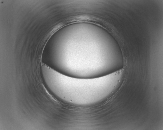X0000078271225200611030942