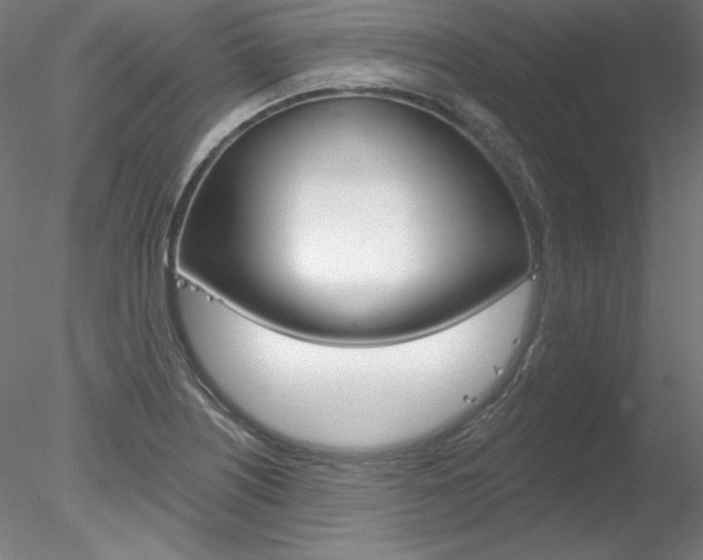 X0000078271226200611030942