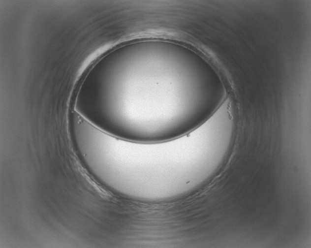 X0000078271230200611030942