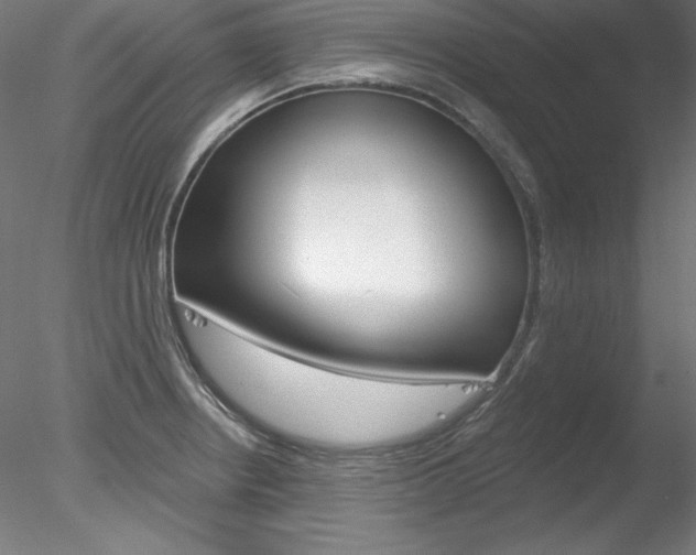 X0000078271234200611030942