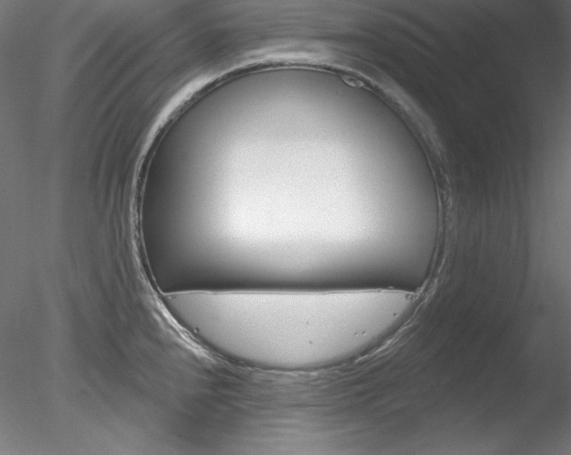 X0000078271240200611030942