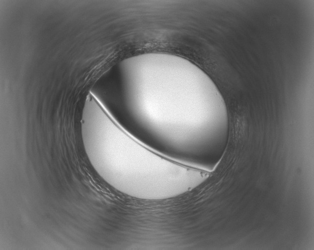X0000078271250200611030941