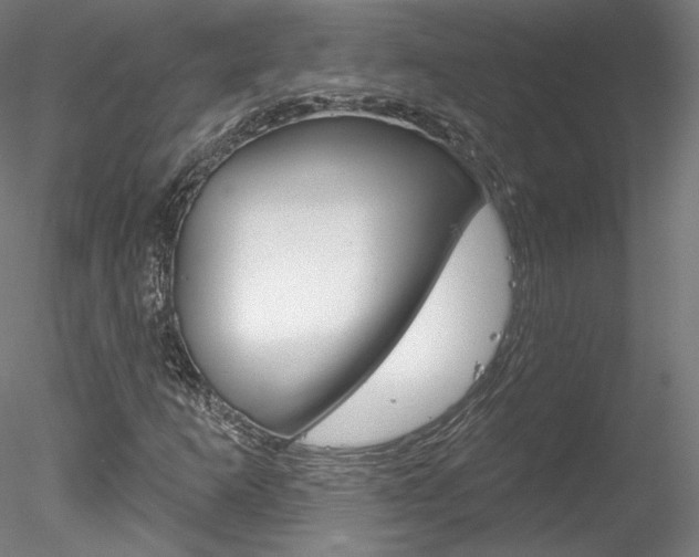 X0000078271253200611030941
