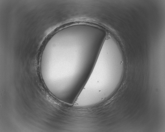 X0000078271264200611030941