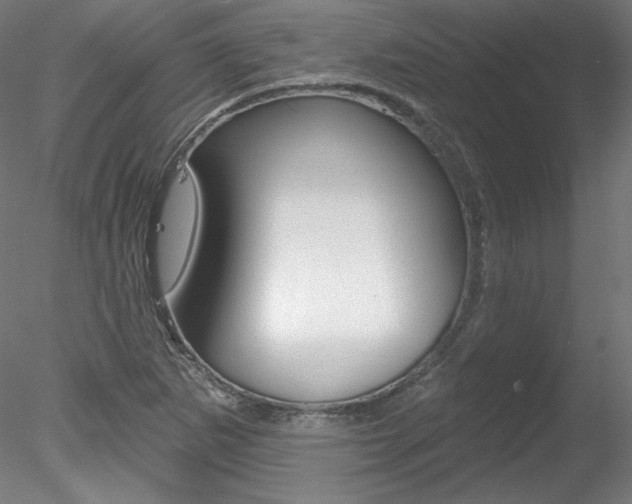 X0000078271265200611030941