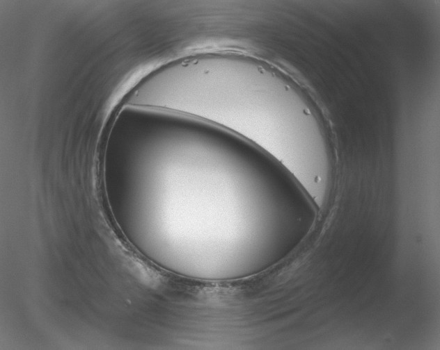 X0000078271277200611030941