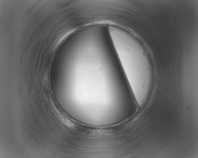 X0000078271281200611030941