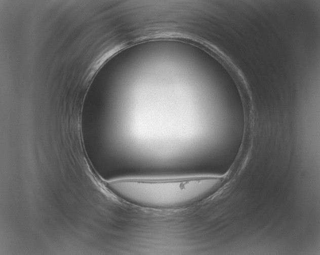 X0000078271289200611030941