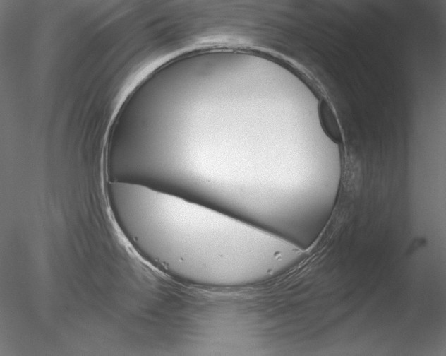X0000078271295200611030941