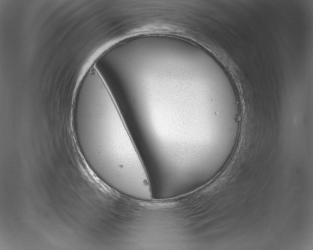 X0000078271296200611030941