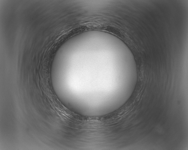 X0000078271297200611030940