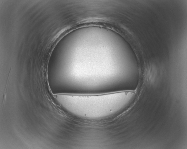 X0000078271313200611030940