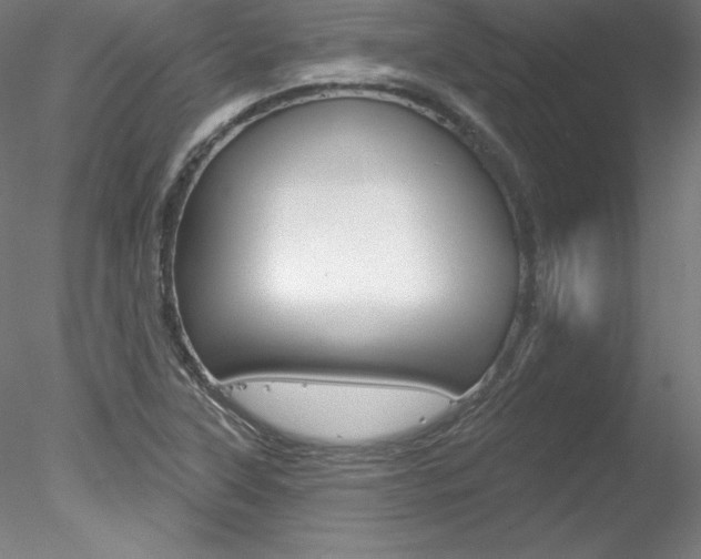 X0000078271315200611030940