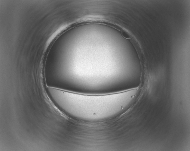 X0000078271325200611030940