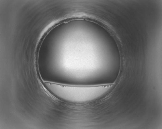 X0000078271326200611030940