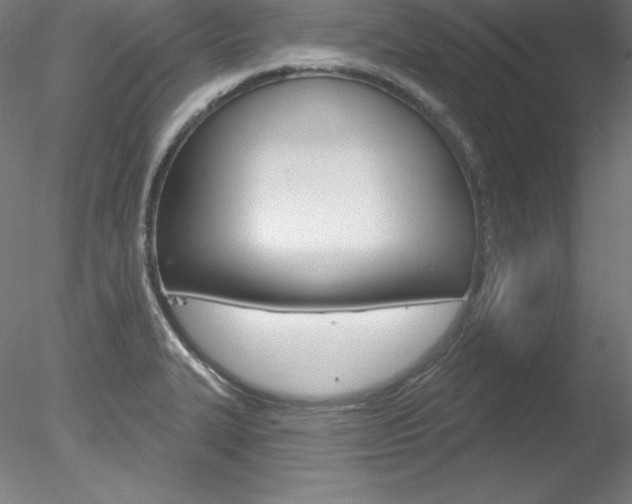 X0000078271327200611030940