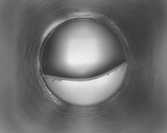 X0000078271328200611030940