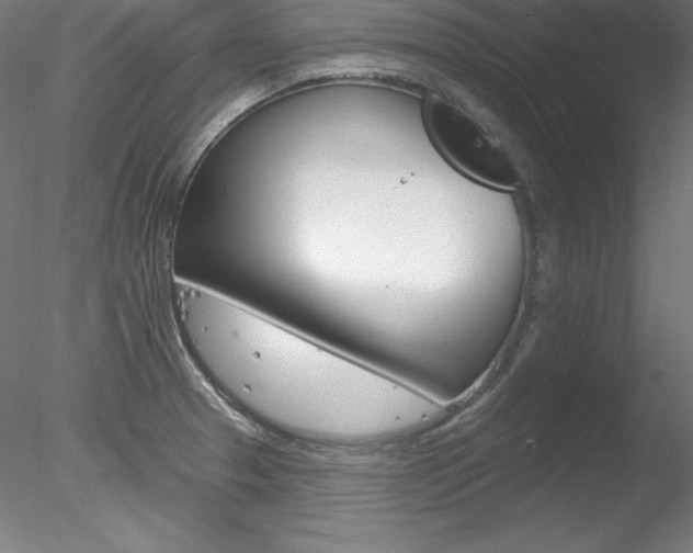X0000078271329200611030940