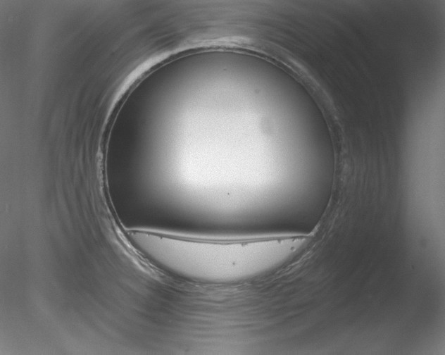 X0000078271332200611030940