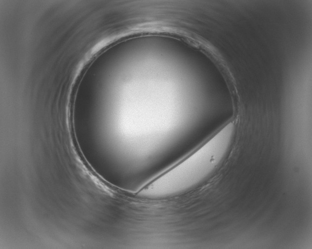 X0000078271334200611030940