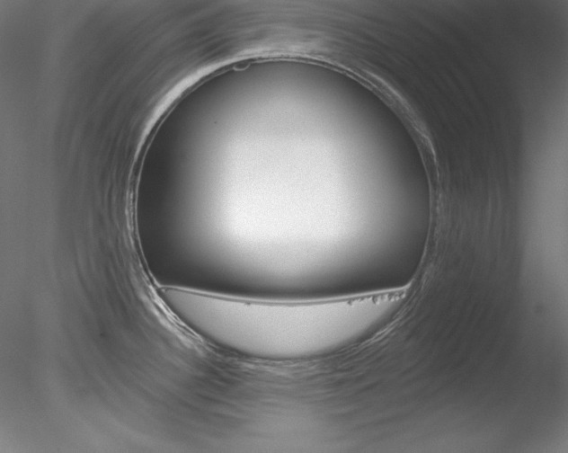 X0000078271340200611030941