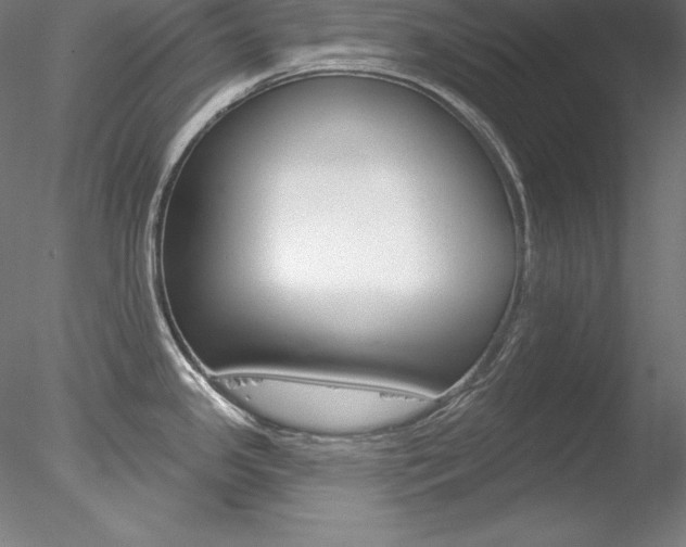 X0000078271341200611030941