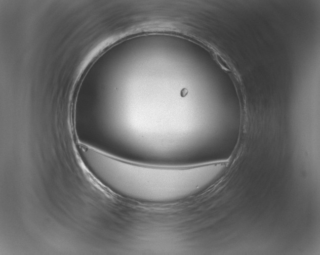 X0000078271342200611030941