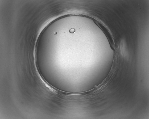 X0000078271343200611030941