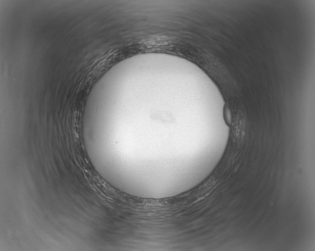 X0000078271346200611030940