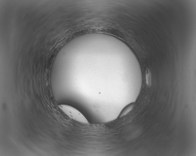 X0000078271347200611030940