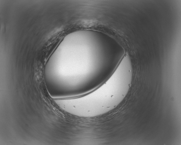 X0000078271349200611030940